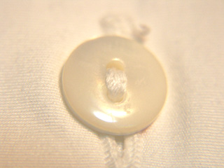 2つ穴の白蝶貝ボタン