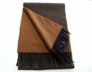 ドレイクスの新作