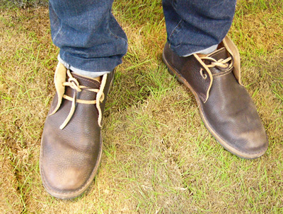 エリア マウリッツィ