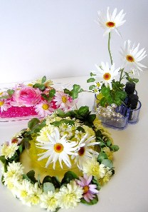 かわいい！お花畑みたい！