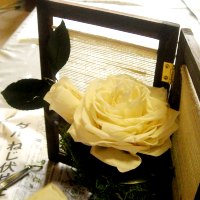 和風ローズメリア