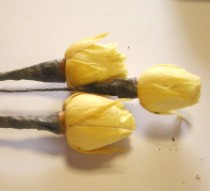 ワイヤー＆テーピング処理