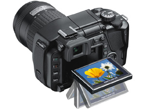 【作例あり】OLYMPUS E-330 デジタル一眼レフ E-330 液晶見ながら撮れる一眼レフ [写真撮影] All About