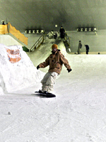 画像の代替テキスト