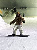 画像の代替テキスト