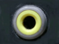 コンポジット端子