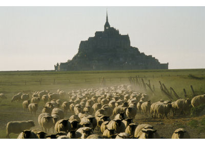 フランス政府観光局