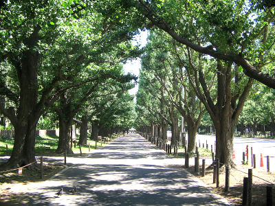 ドラマで使われたレストラン永久保存版６！