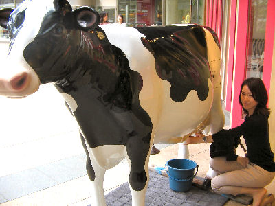 モトヤマ ミルク・バー