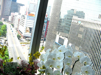 ギンザ・グラッセ