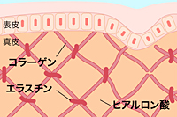 画像の代替テキスト