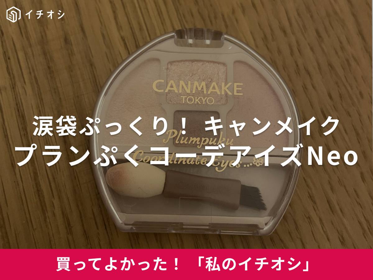 キャンメイクの「プランぷくコーデアイズNeo N01」は涙袋をしっかり盛れる!
