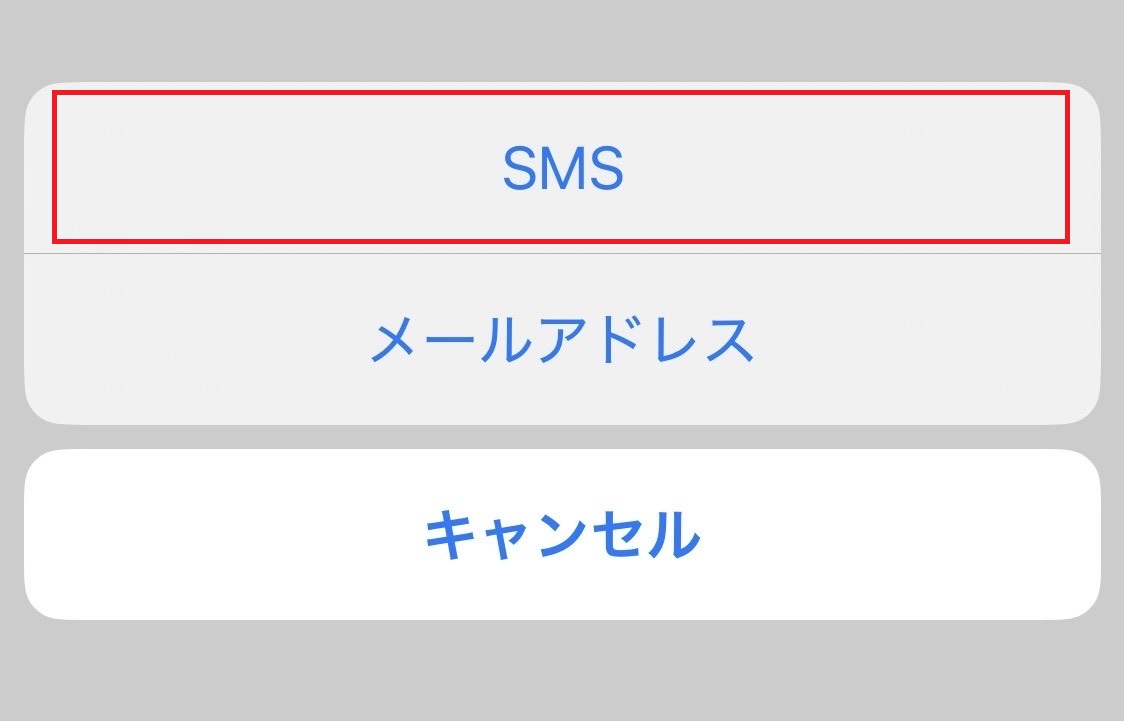 「SMS」を選択し、送信したい相手の電話番号にチェックを入れる