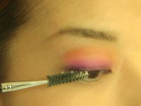 写真のタイトル