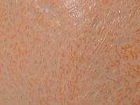 リキッドファンデーション