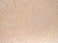 硬めなコンシーラー