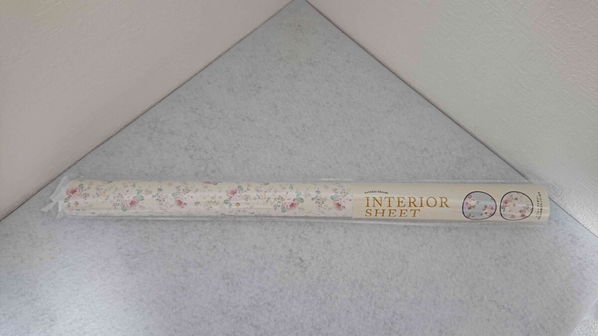 ���ꥢ�Ρ֥���ƥꥢ������?�֥롼�ߥ󥰥�����?�����ܥ꡼��