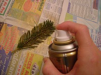 ノエルスプレー1