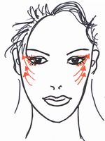 画像の代替テキスト