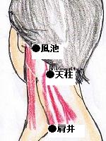 画像の代替テキスト