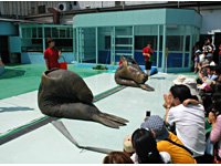 二見シーパラダイス・母娘イナバウアー