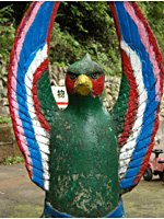 祥雲さんのキジ