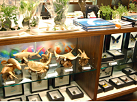 ネイチャーコレクション