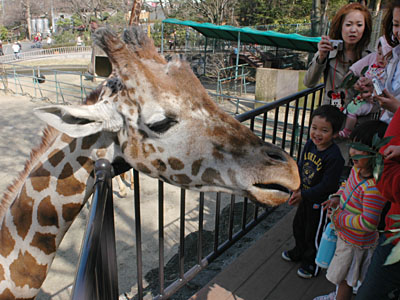 キリンの展望デッキ