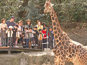 キリン展望デッキ