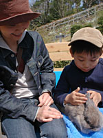 なかよし広場・ウサギ