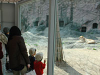 ワ～オチューブ