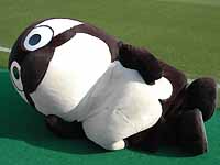 この寝転がりぶり、ドアラよりサマになっとるがね!