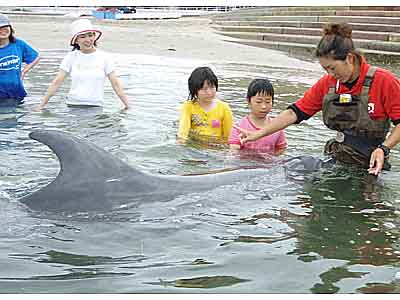 ふれ合いビーチ