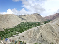 ティンモスガン