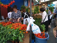 浅草のほおづき市