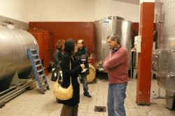 photo by SAWA pasqua