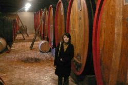 photo by SAWA pasqua