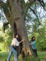 photo by SAWA pasqua