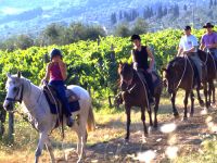 photo by SAWA pasqua