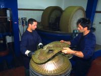 photo by SAWA pasqua