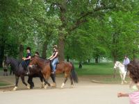ハイド・パークでの乗馬
