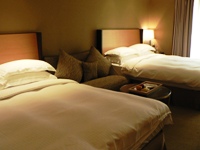 デラックスツイン