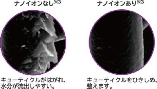 イオン機能