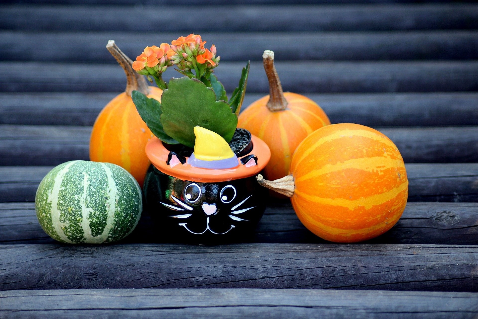 ハロウィーンのプチギフトはお菓子以外でもOK!