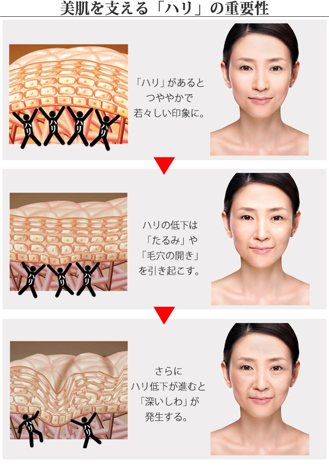 40歳が曲がり角?美肌を支えるのは「ハリ」だった!